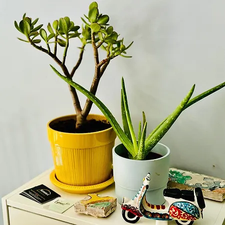 Sangiuliano Pensión 4*