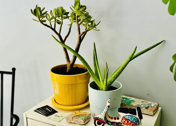 Sangiuliano Pensjonat 4*